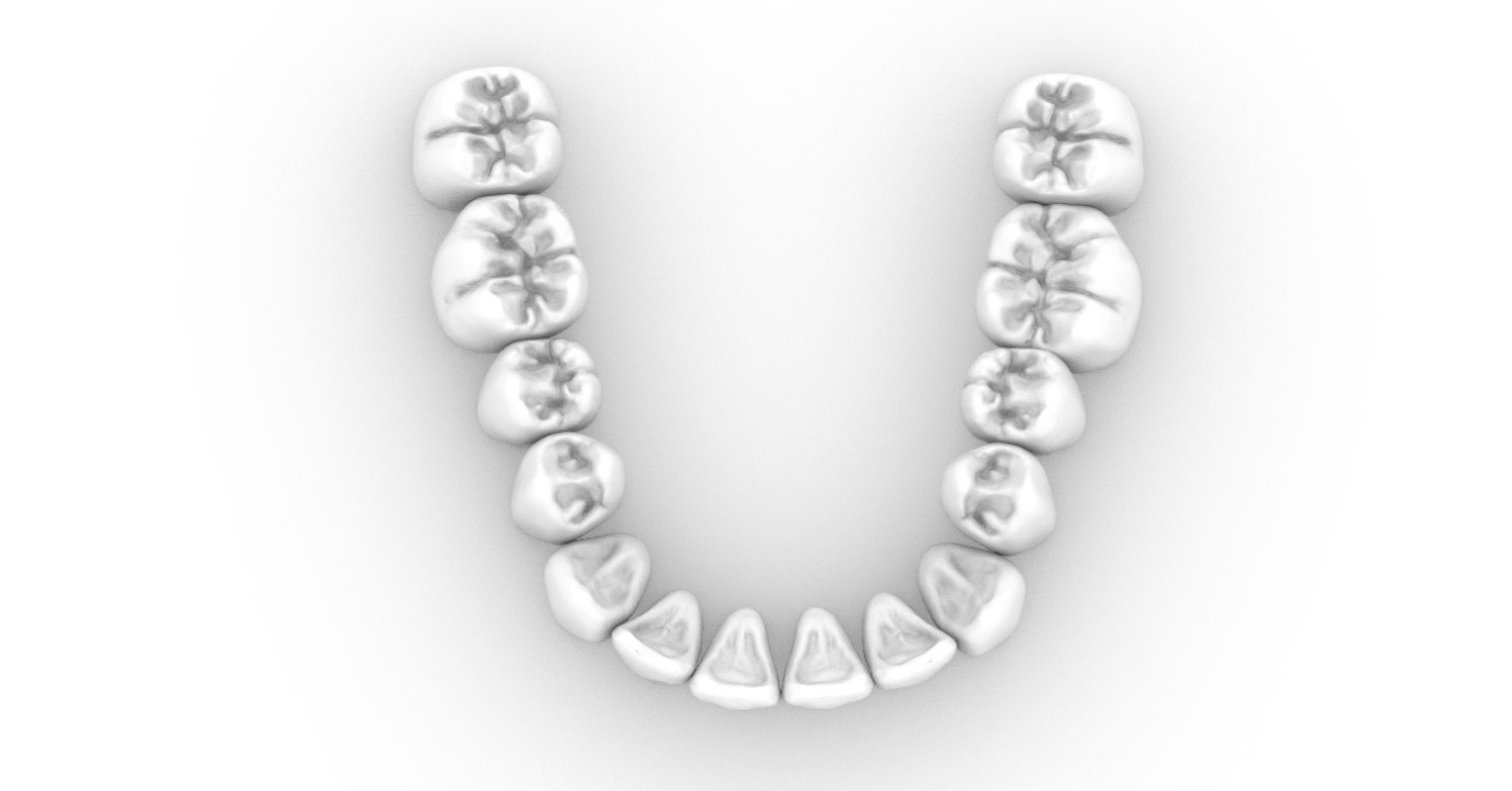 Digital exocad Complete Dentures  3D print model_19