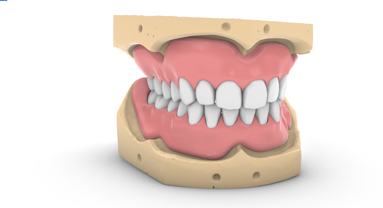 Digital exocad Complete Dentures  3D print model_18