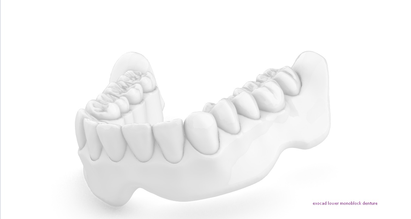 Digital exocad Complete Dentures  3D print model_55