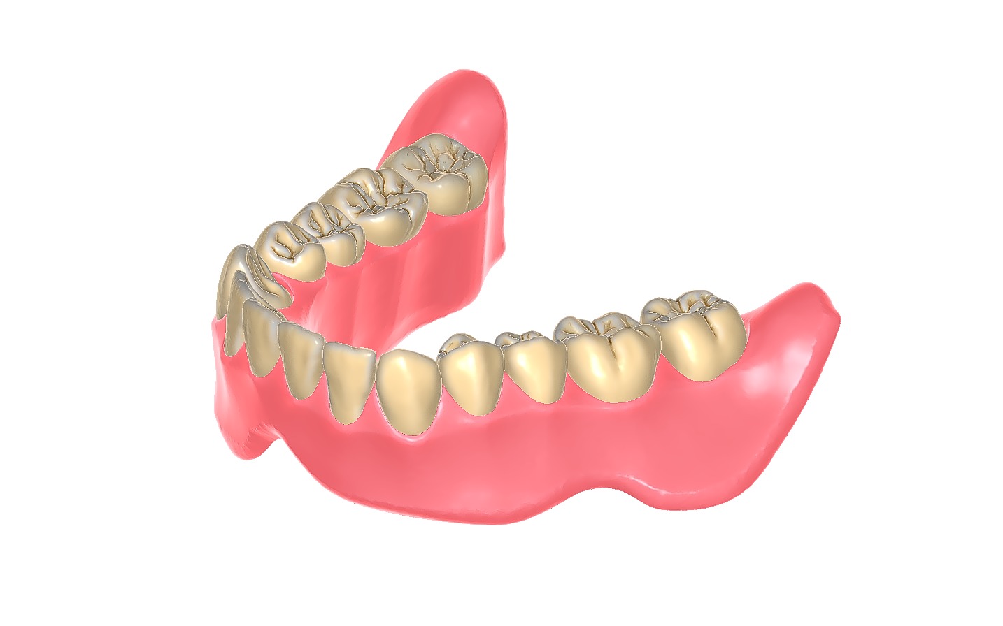 Digital exocad Complete Dentures  3D print model_30