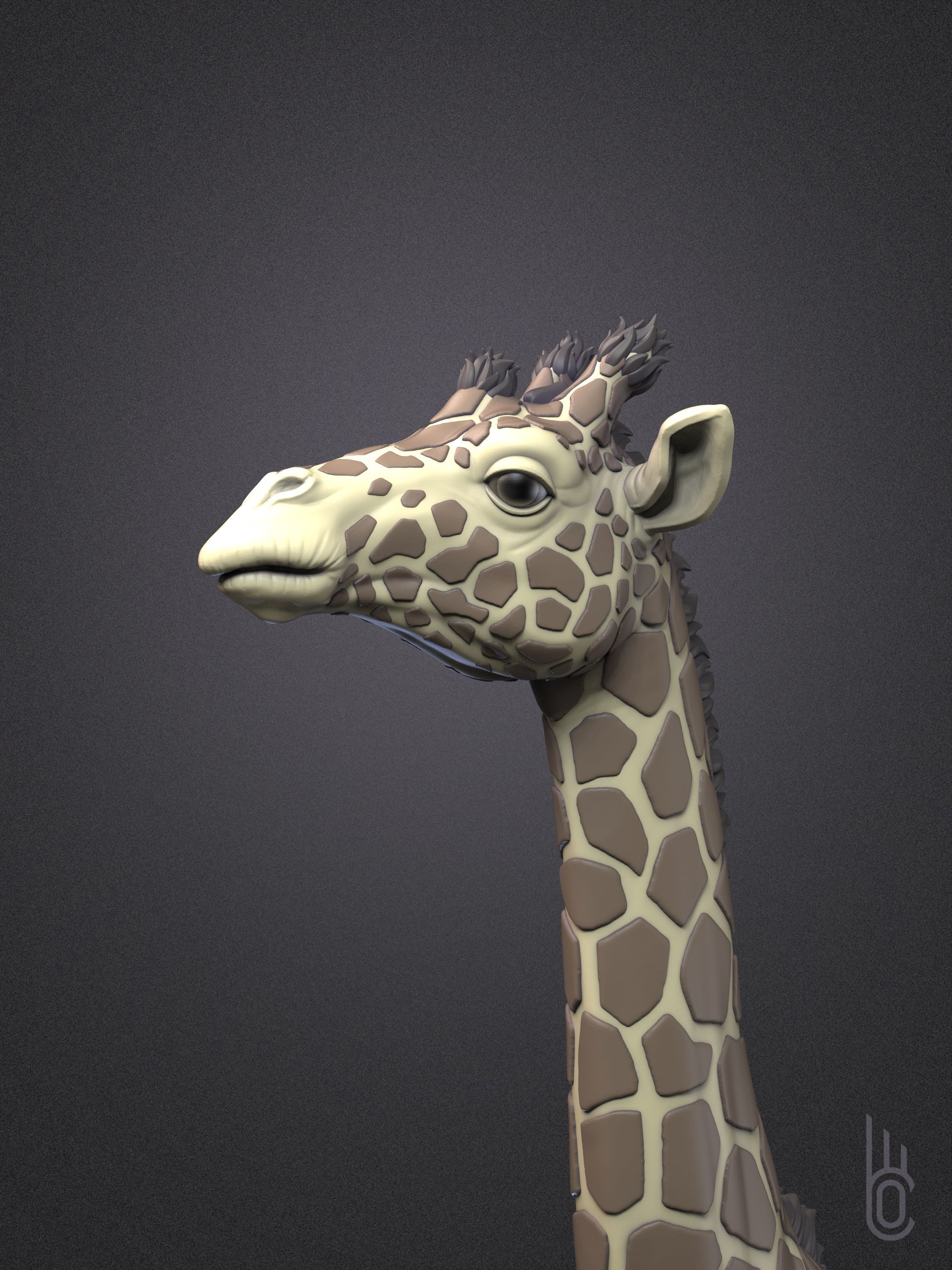 Rothschilds Giraffe 3D print model_10