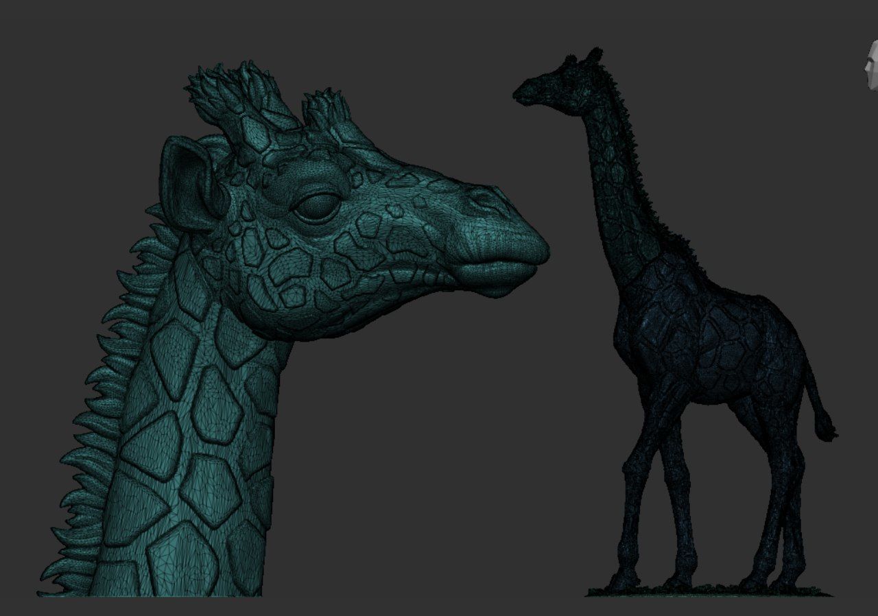 Rothschilds Giraffe 3D print model_17