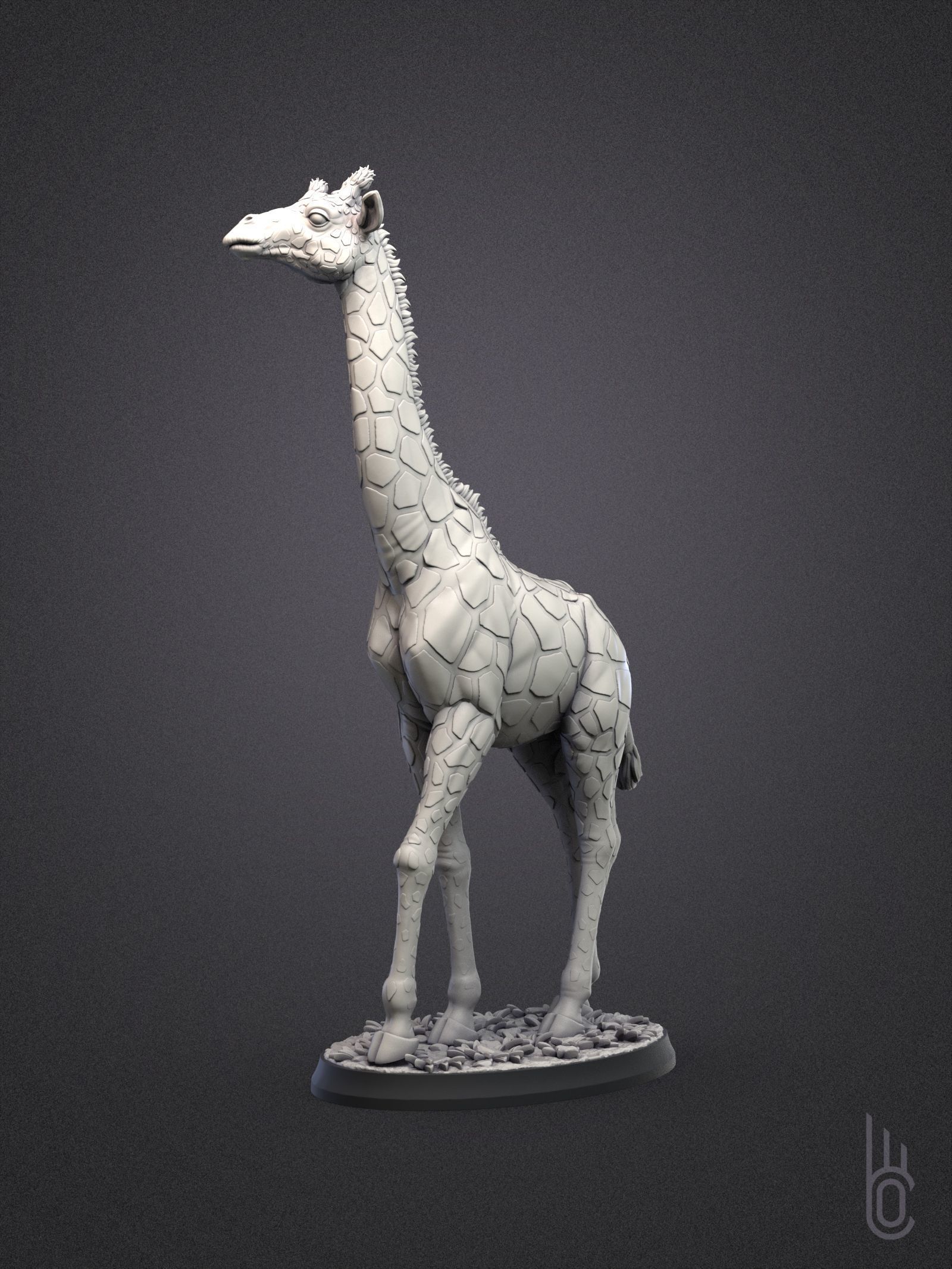 Rothschilds Giraffe 3D print model_14