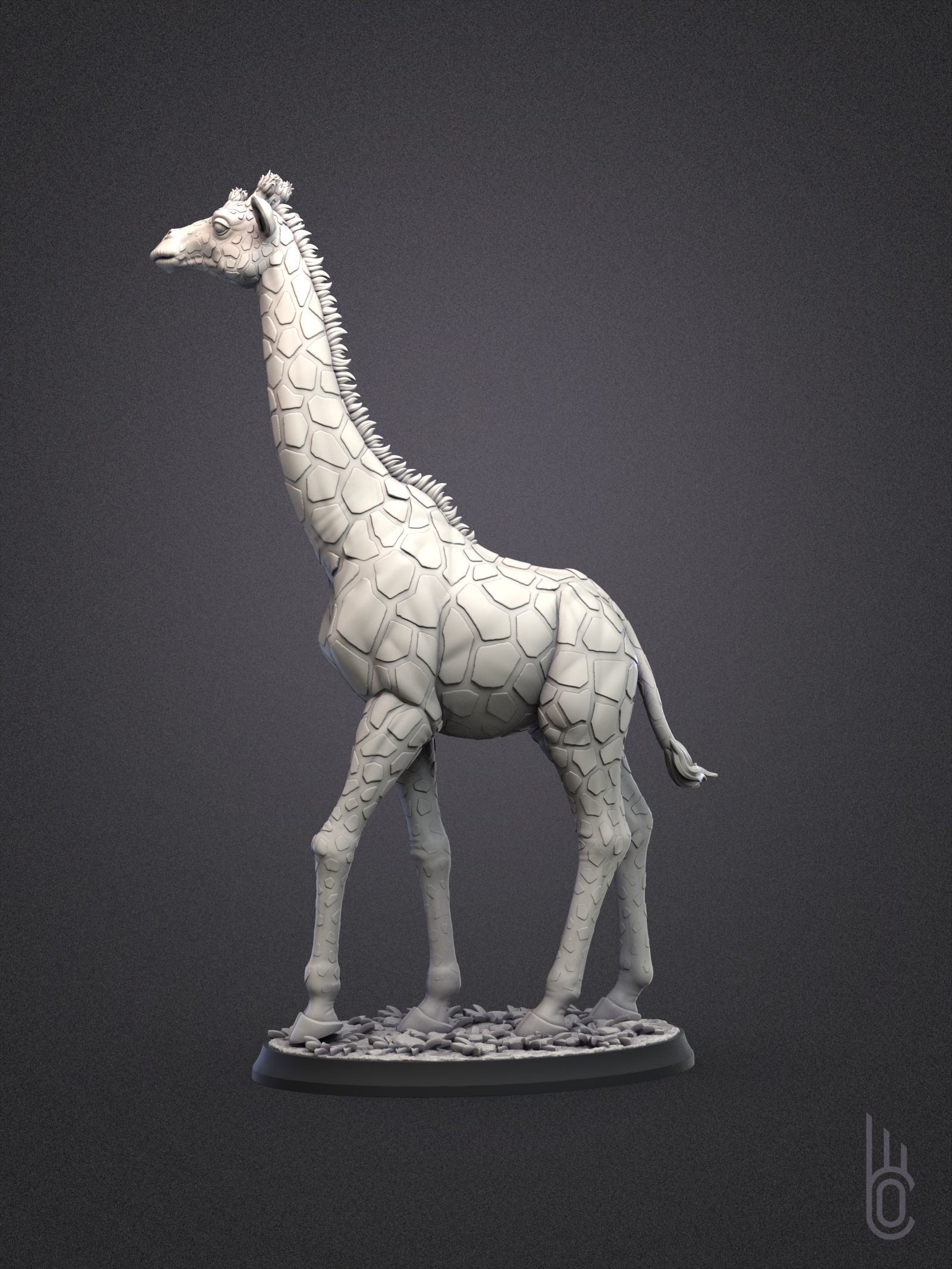 Rothschilds Giraffe 3D print model_3