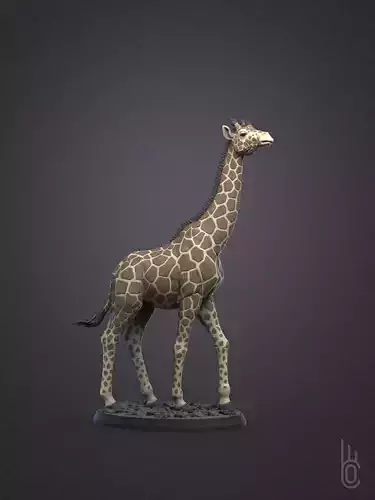 Rothschilds Giraffe 3D print model