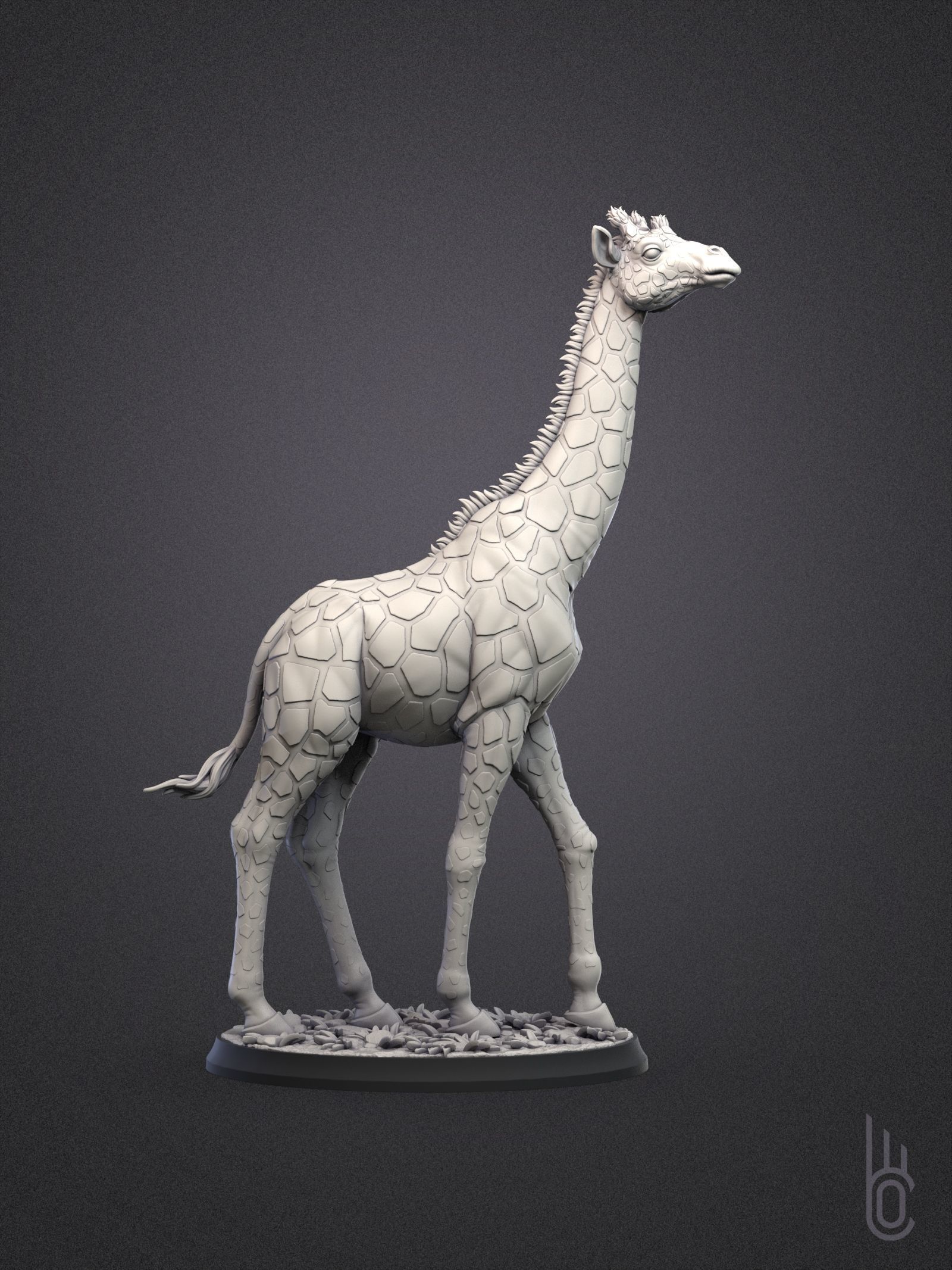 Rothschilds Giraffe 3D print model_5
