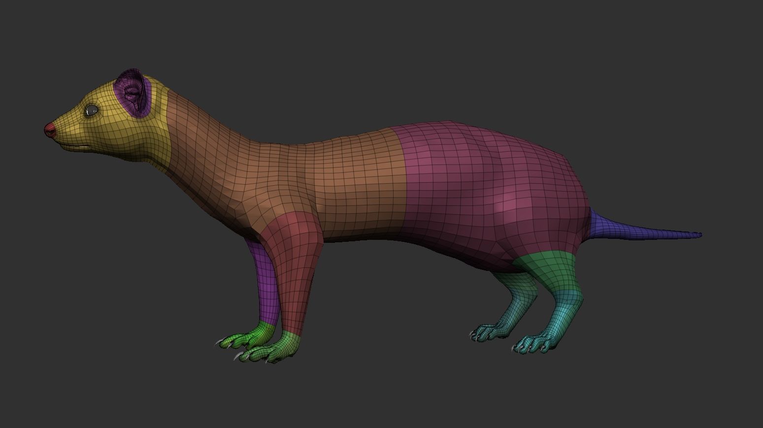 VFX Ready ferret 3d model  3D model_9