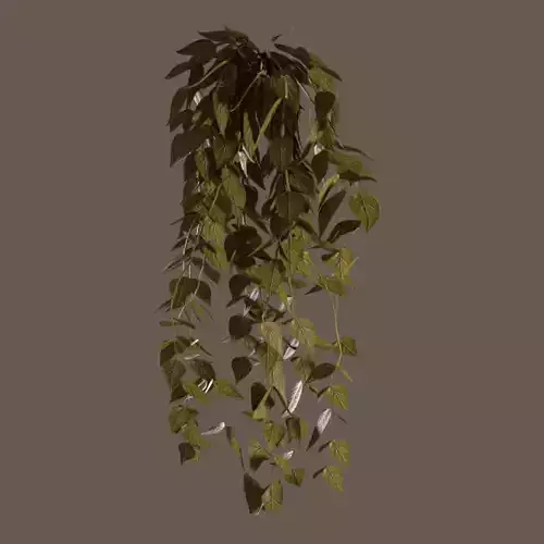 Autumn Artificial Fittonia Hanging Bush Plant