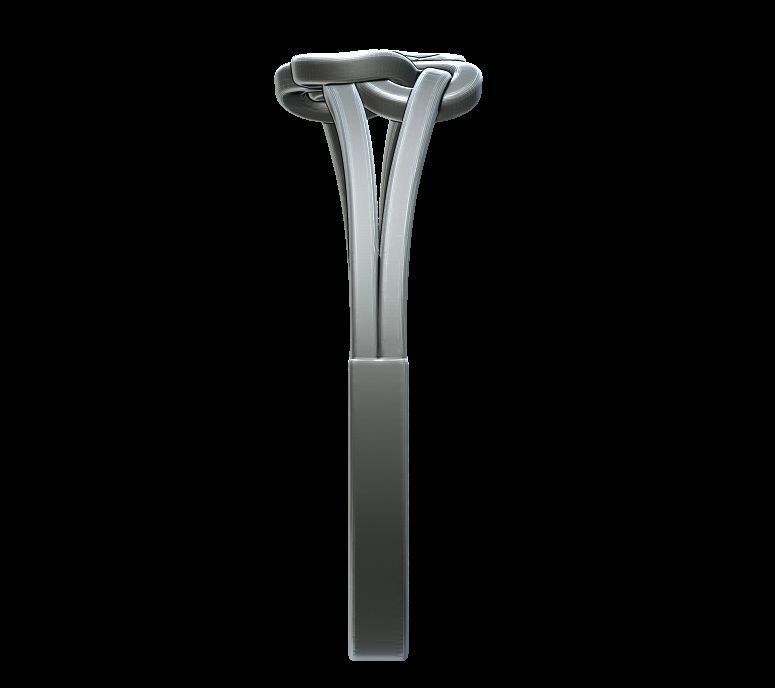 Double Twisted Ring  3D print model_6