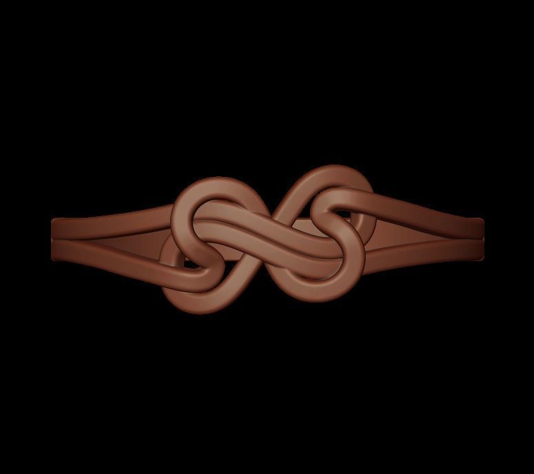 Double Twisted Ring  3D print model_1