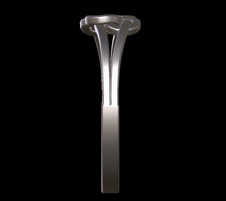 Double Twisted Ring  3D print model_18