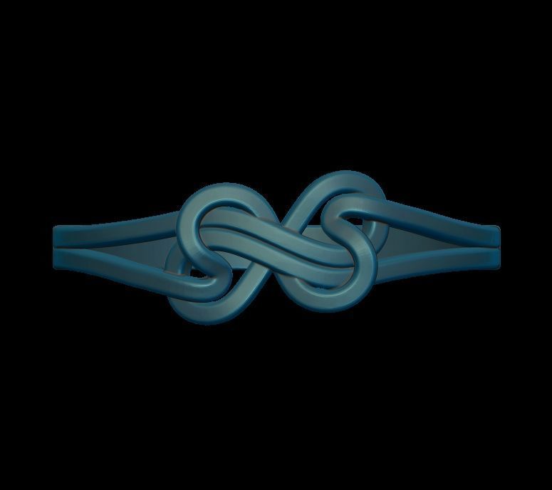 Double Twisted Ring  3D print model_19