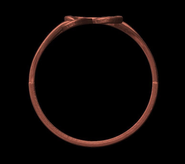 Double Twisted Ring  3D print model_13