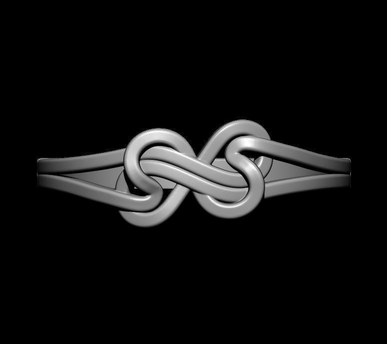 Double Twisted Ring  3D print model_17