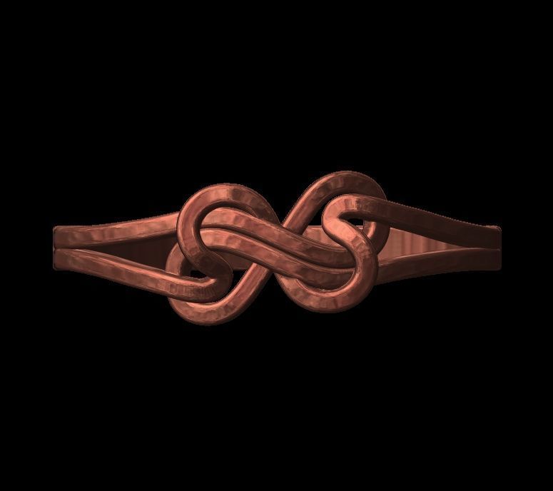 Double Twisted Ring  3D print model_16