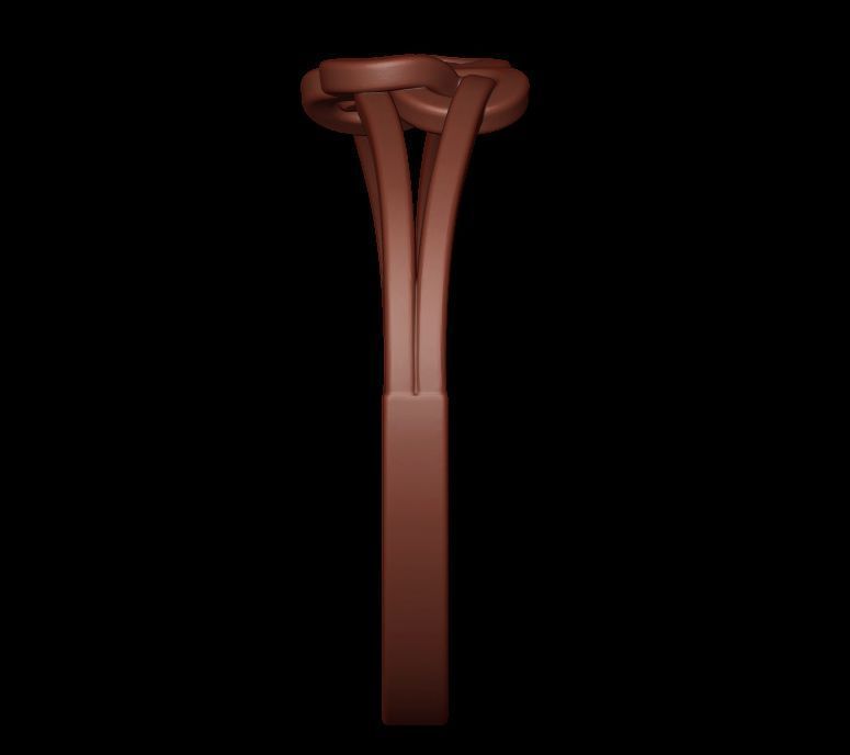 Double Twisted Ring  3D print model_11