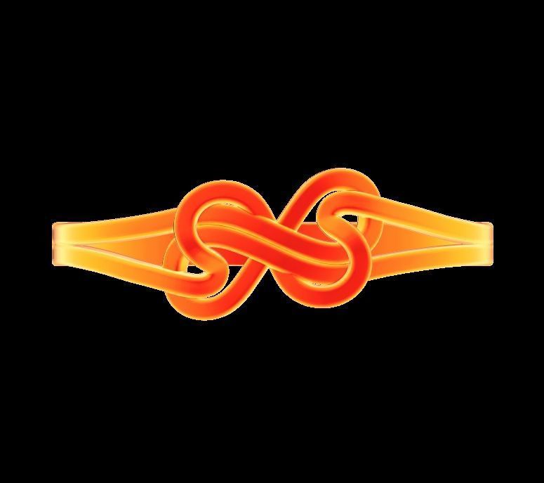 Double Twisted Ring  3D print model_23