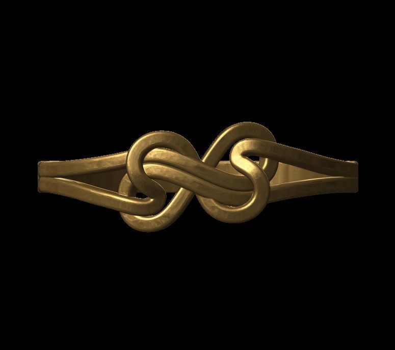 Double Twisted Ring  3D print model_5