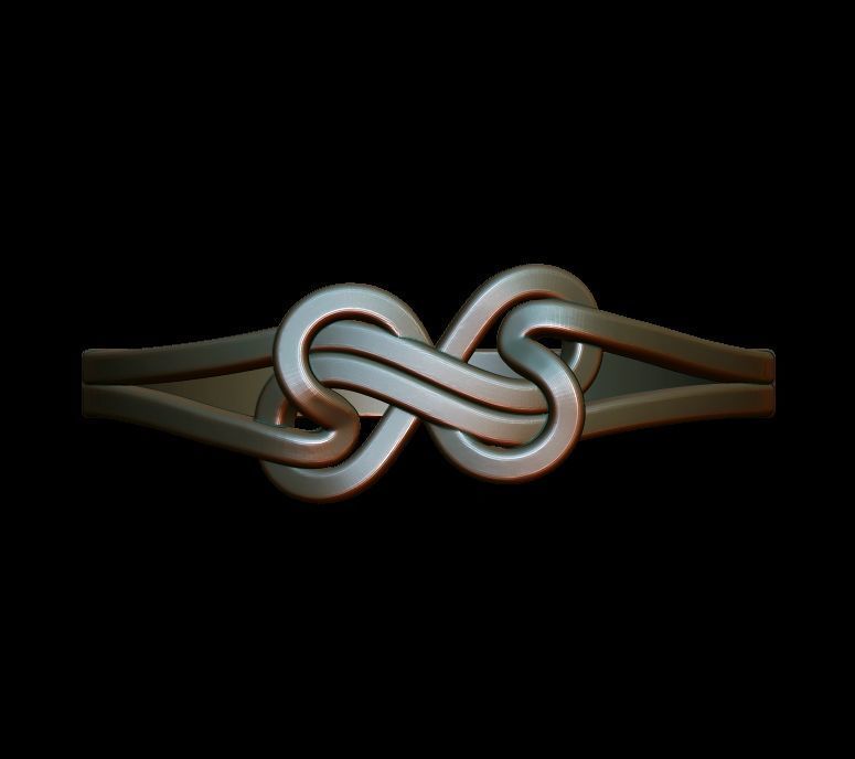 Double Twisted Ring  3D print model_15