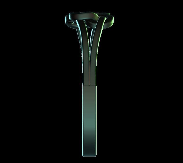 Double Twisted Ring  3D print model_14