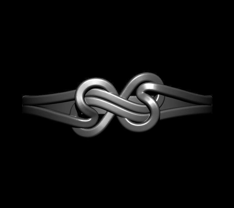 Double Twisted Ring  3D print model_10