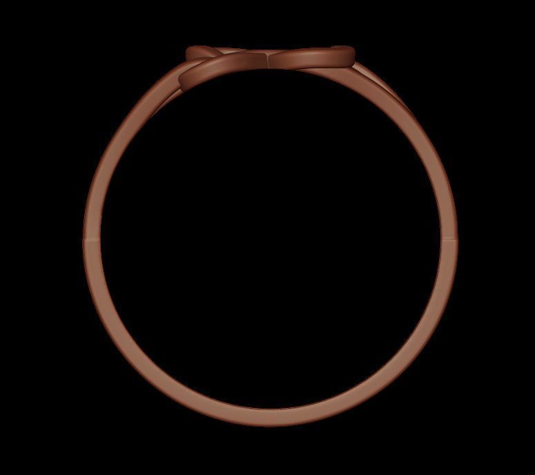 Double Twisted Ring  3D print model_8