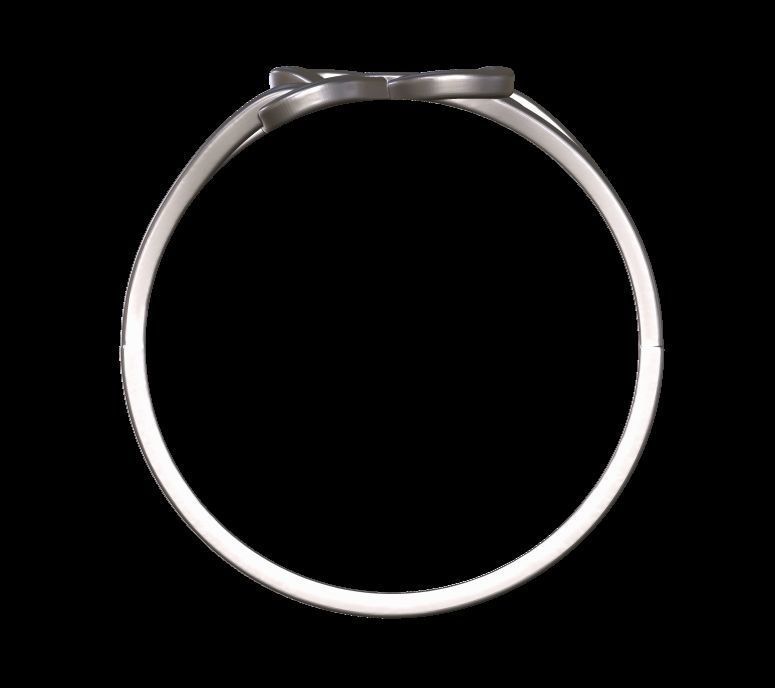 Double Twisted Ring  3D print model_25