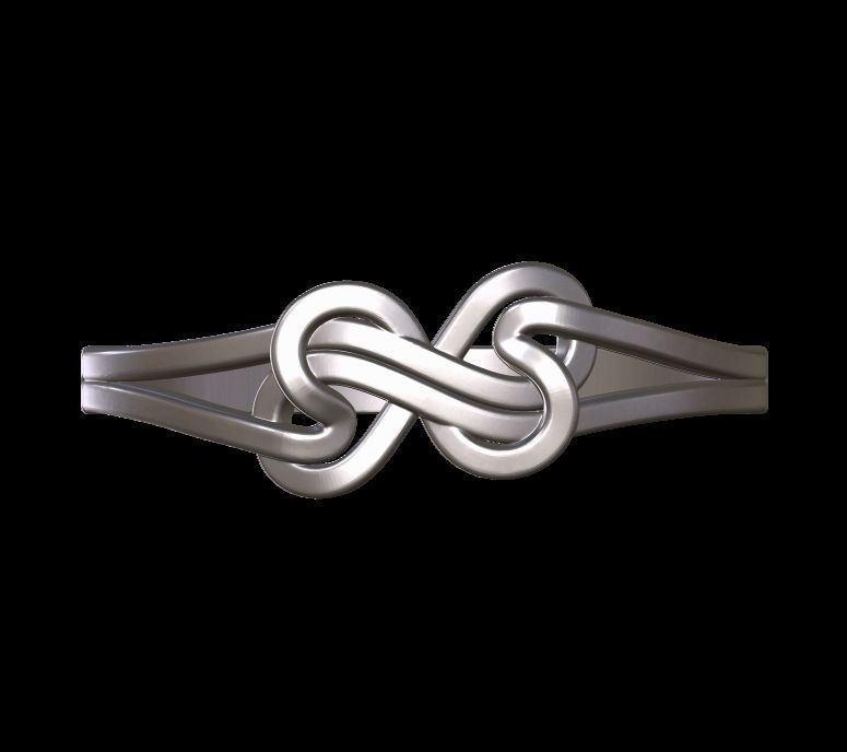 Double Twisted Ring  3D print model_24