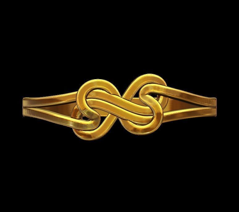 Double Twisted Ring  3D print model_3