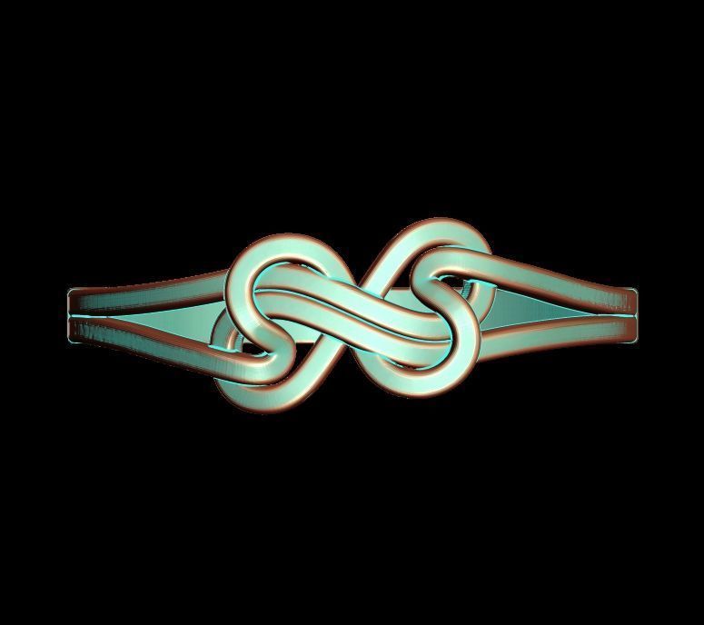 Double Twisted Ring  3D print model_22