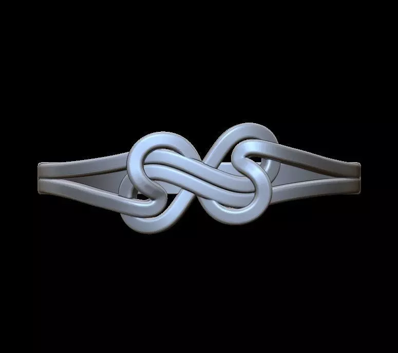 Double Twisted Ring  3D print model_0