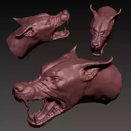 Doberman Angry  3D print model