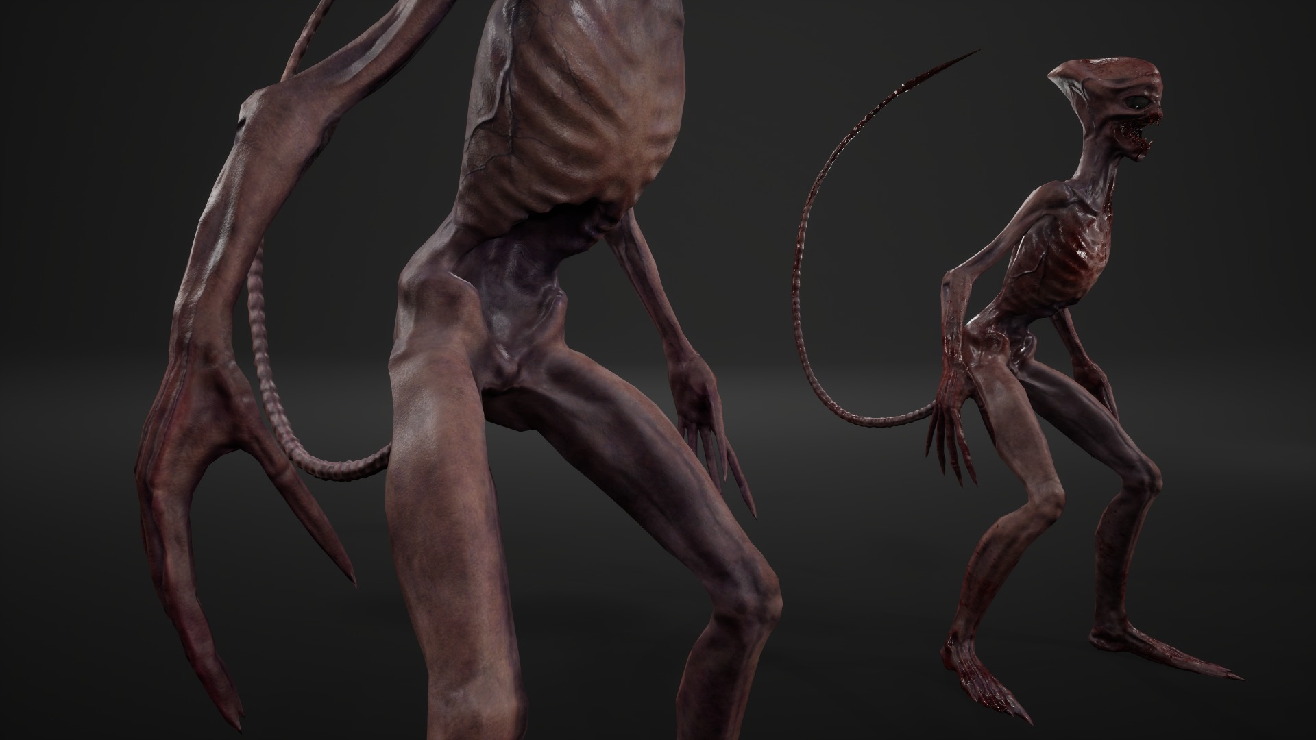 Alien 3 Low-poly 3D model_8