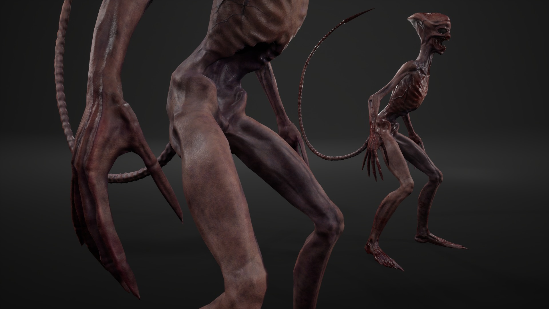 Alien 3 Low-poly 3D model_14