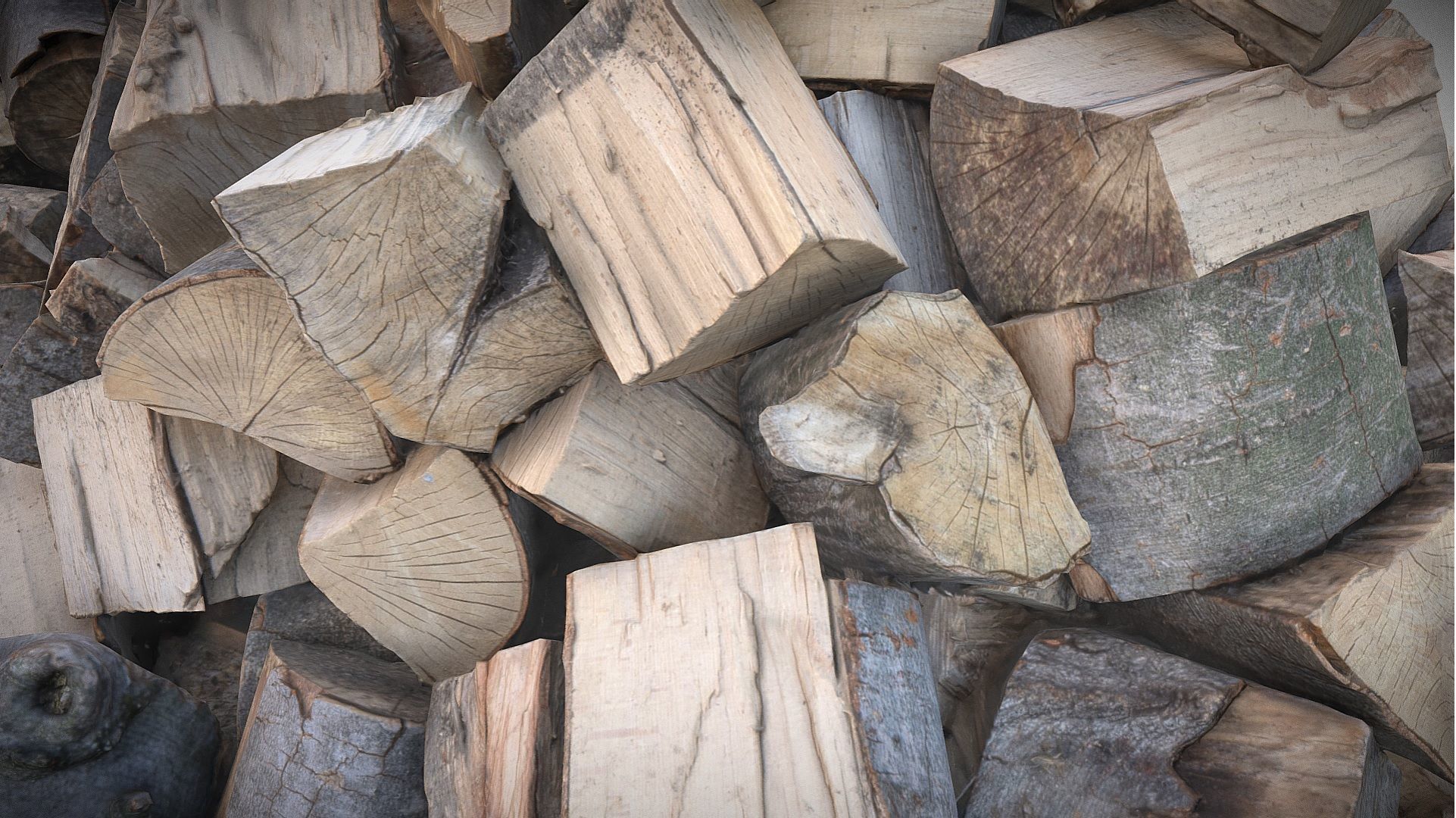 Pile of firewood - large stumps 3D model_7