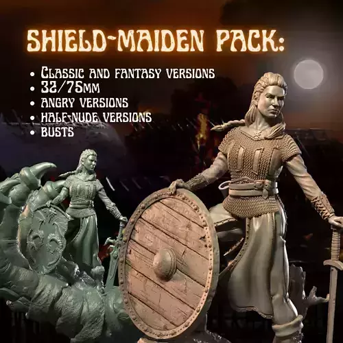 SHIELD MAIDEN VIKING FEMALE WARRIOR PACK 