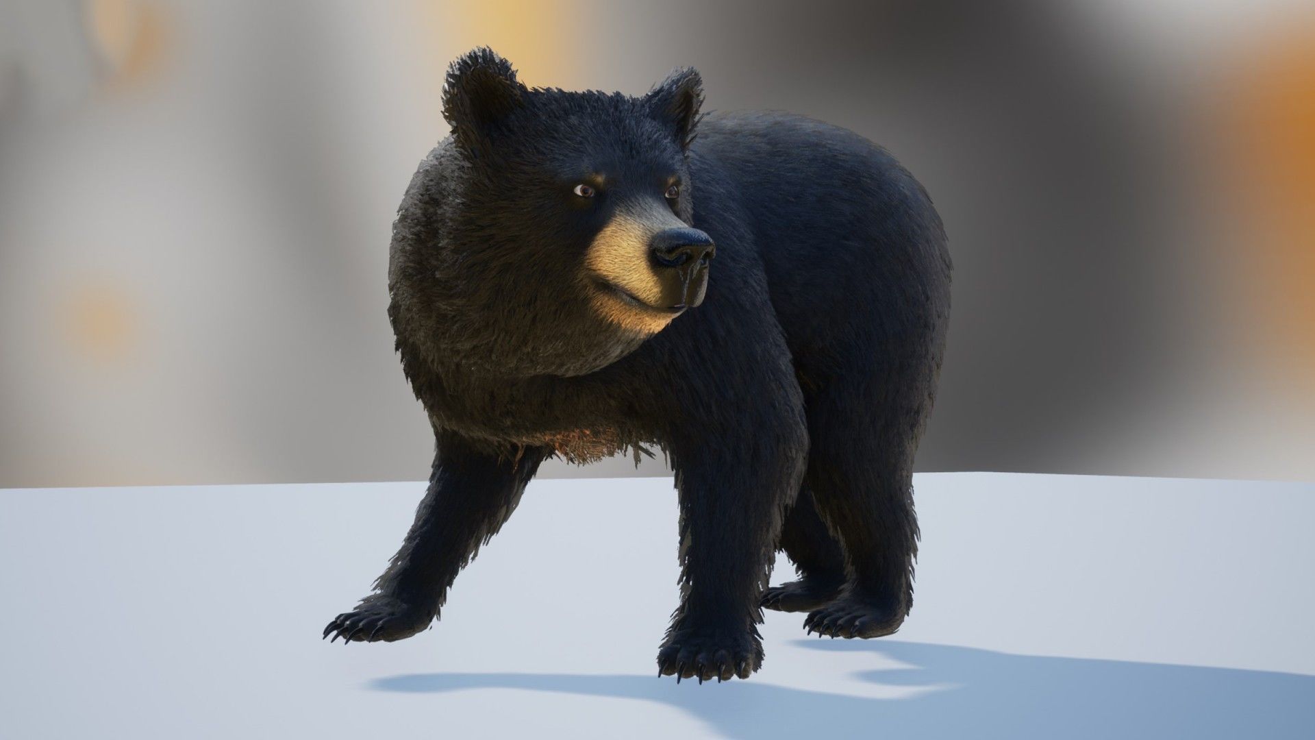 Realistic Bears Low-poly 3D model_9