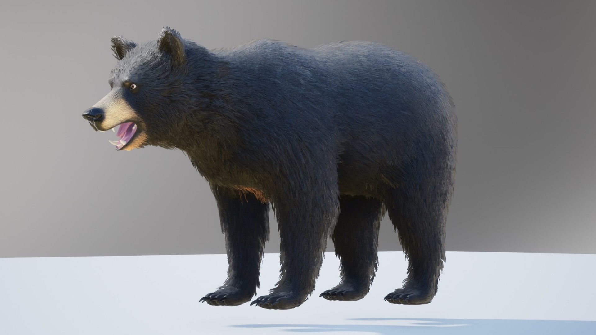 Realistic Bears Low-poly 3D model_14