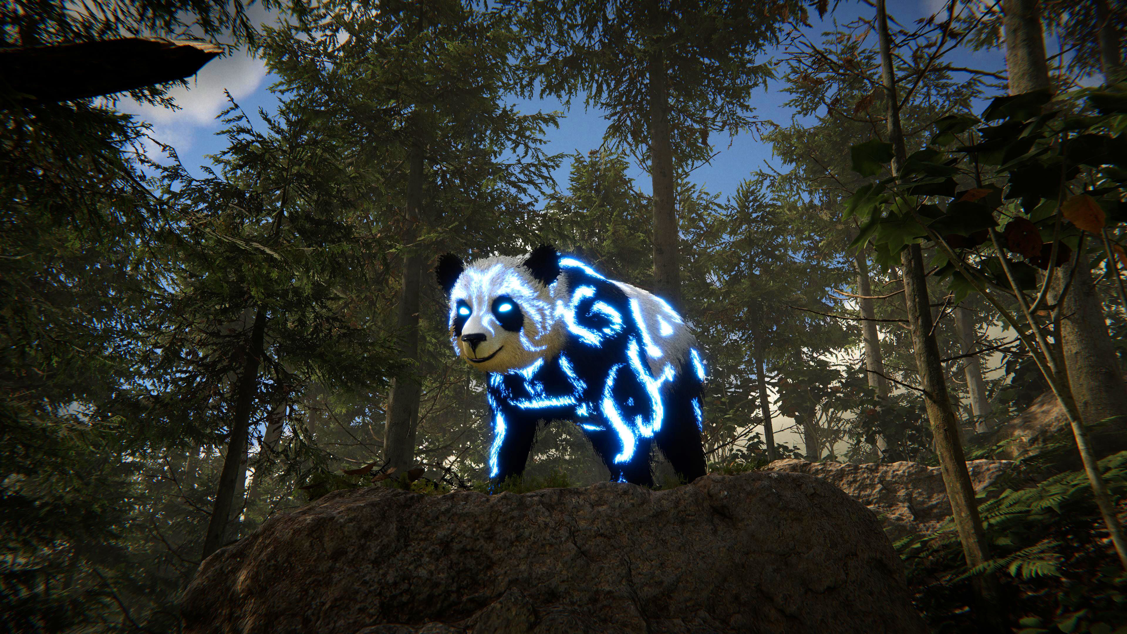 Realistic Bears Low-poly 3D model_4