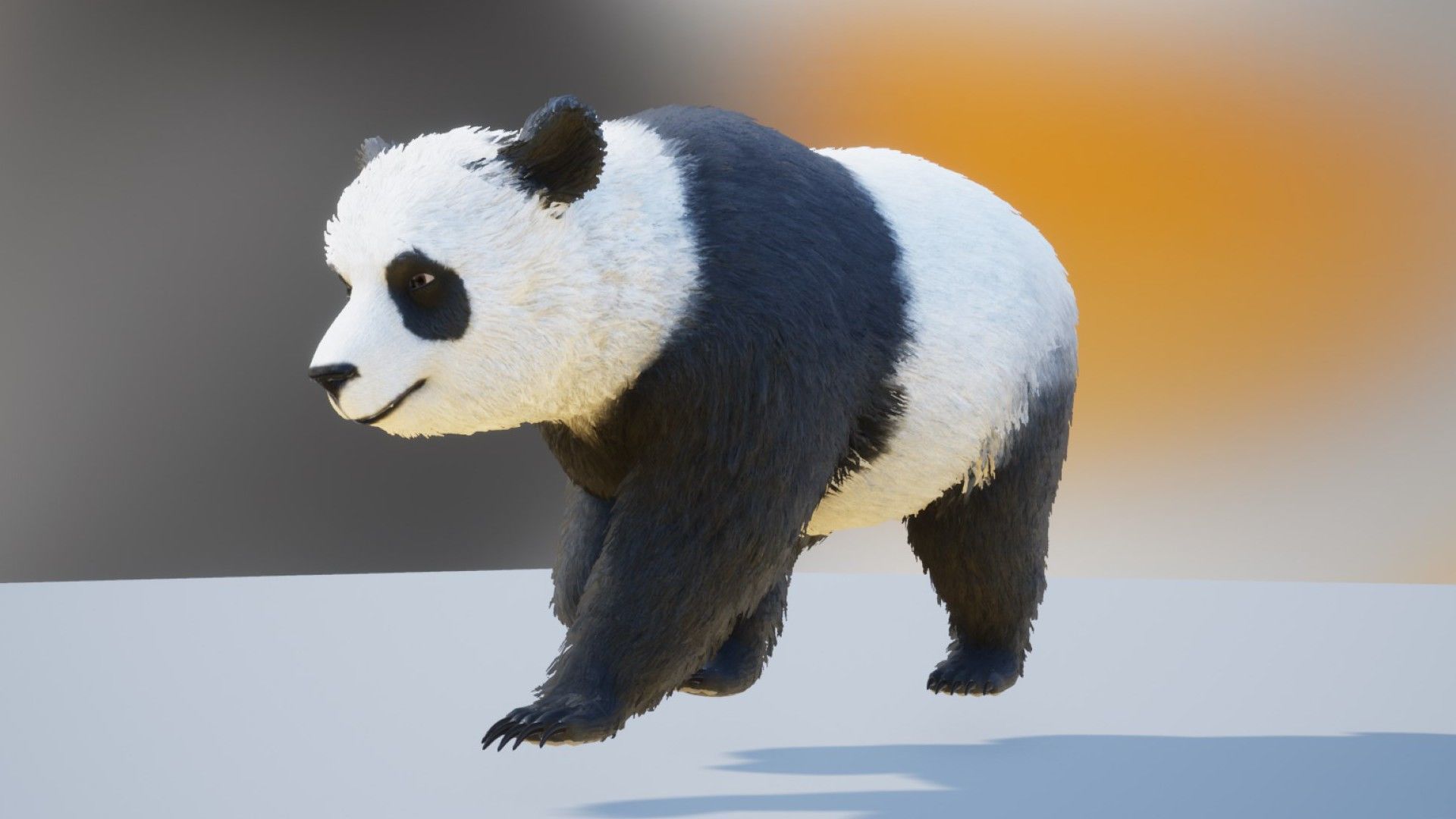 Realistic Bears Low-poly 3D model_12