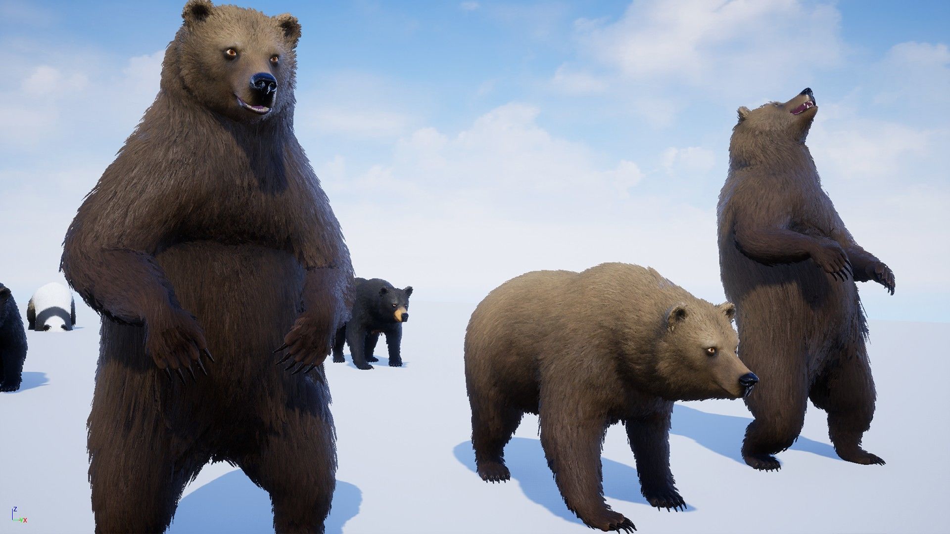 Realistic Bears Low-poly 3D model_19