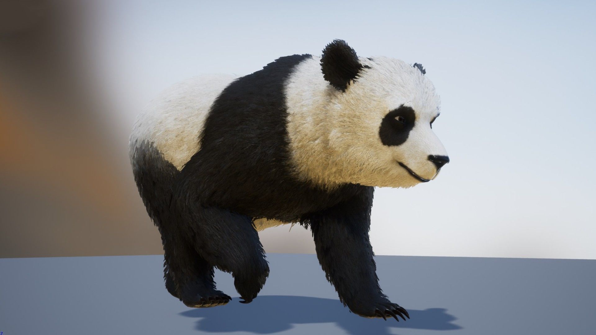 Realistic Bears Low-poly 3D model_11