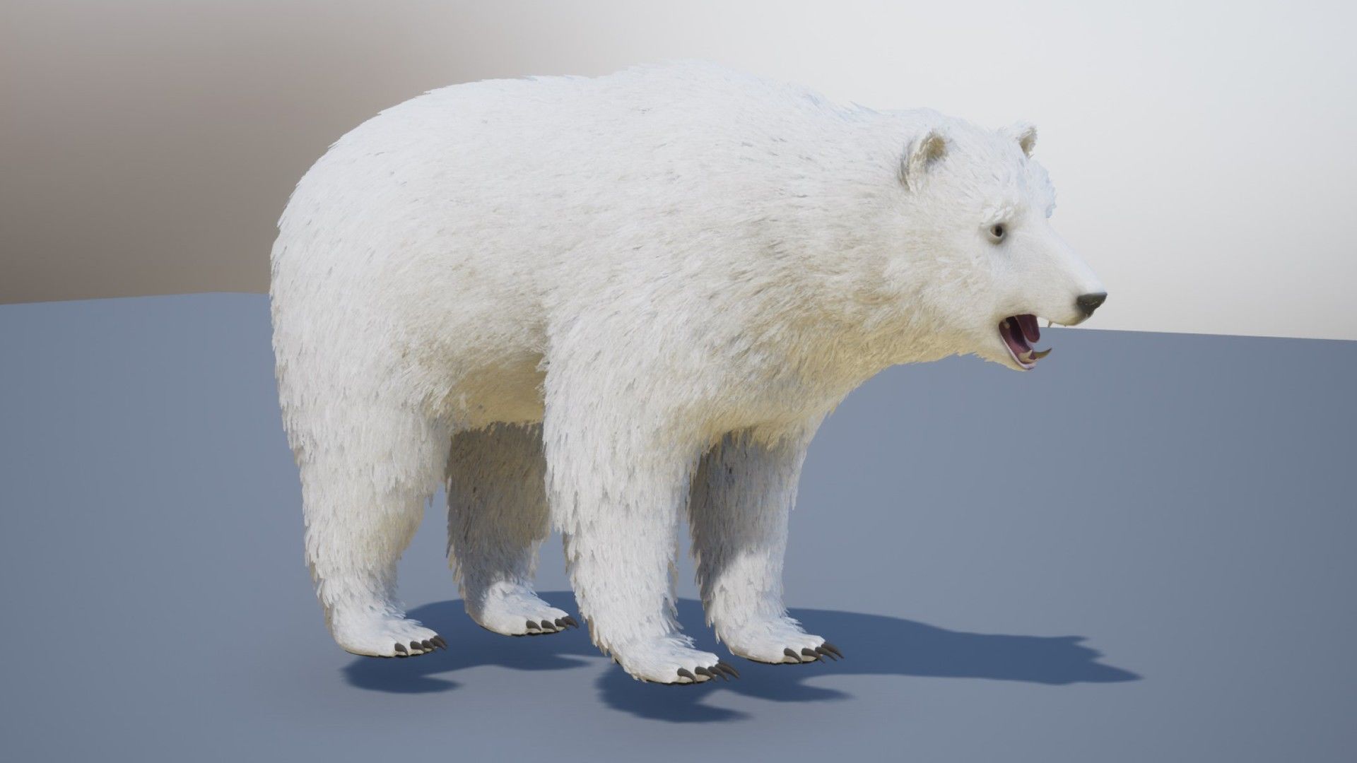 Realistic Bears Low-poly 3D model_13