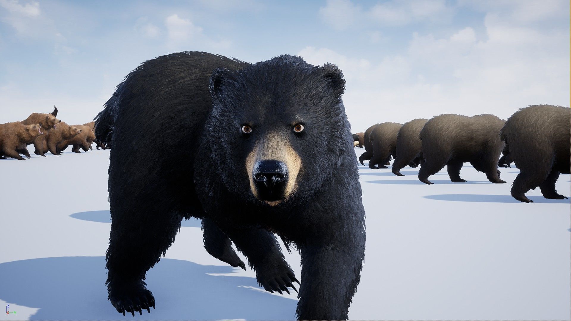 Realistic Bears Low-poly 3D model_7