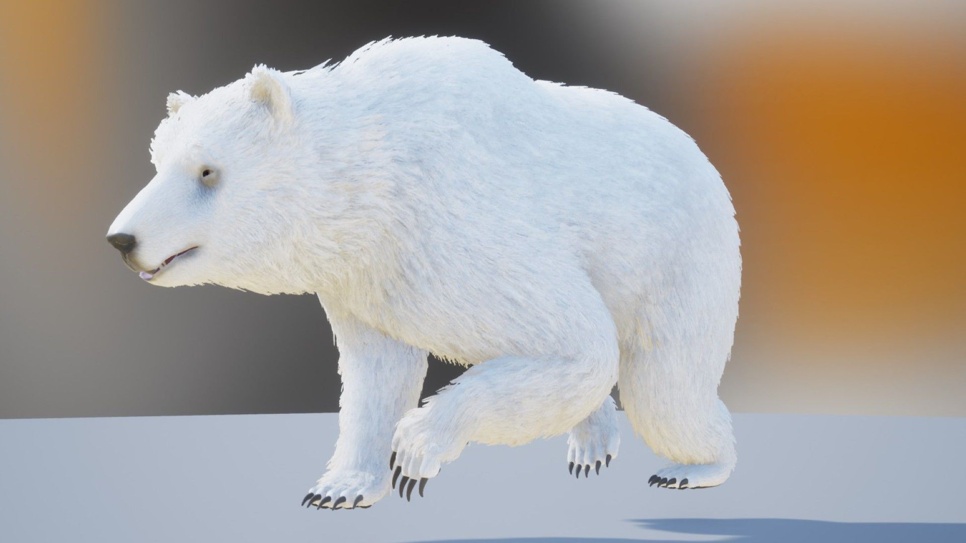 Realistic Bears Low-poly 3D model_15
