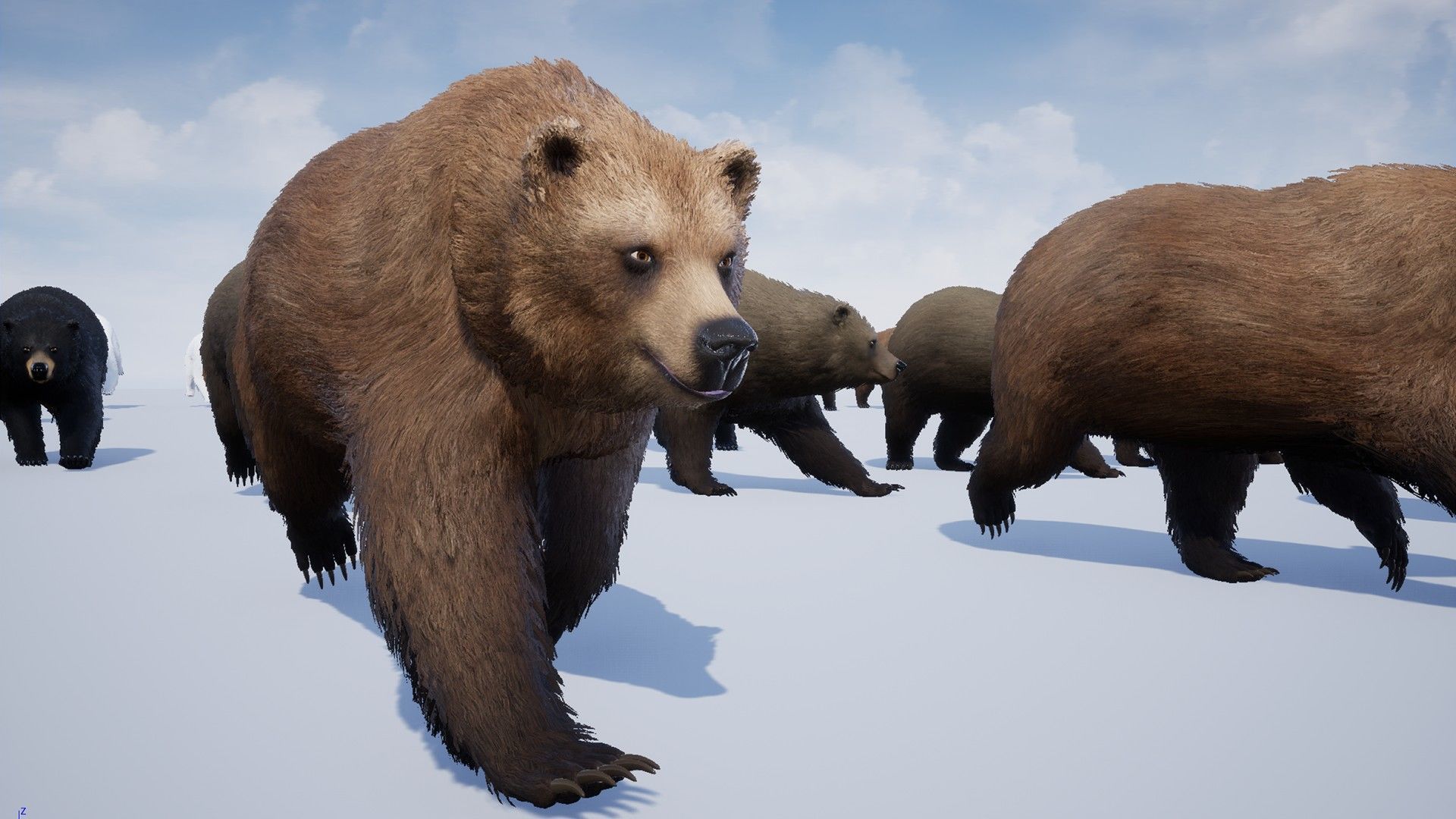 Realistic Bears Low-poly 3D model_16