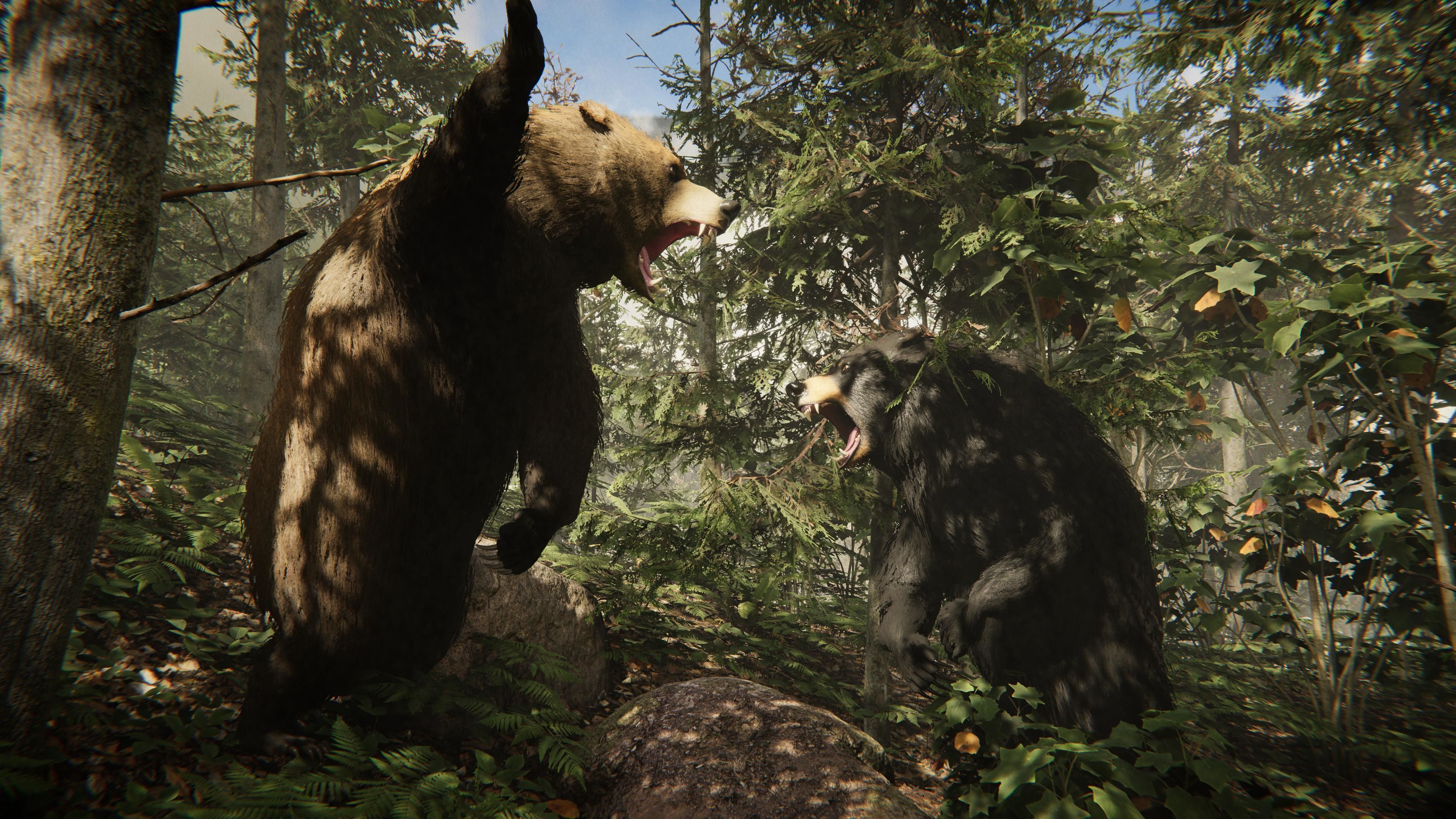 Realistic Bears Low-poly 3D model_8