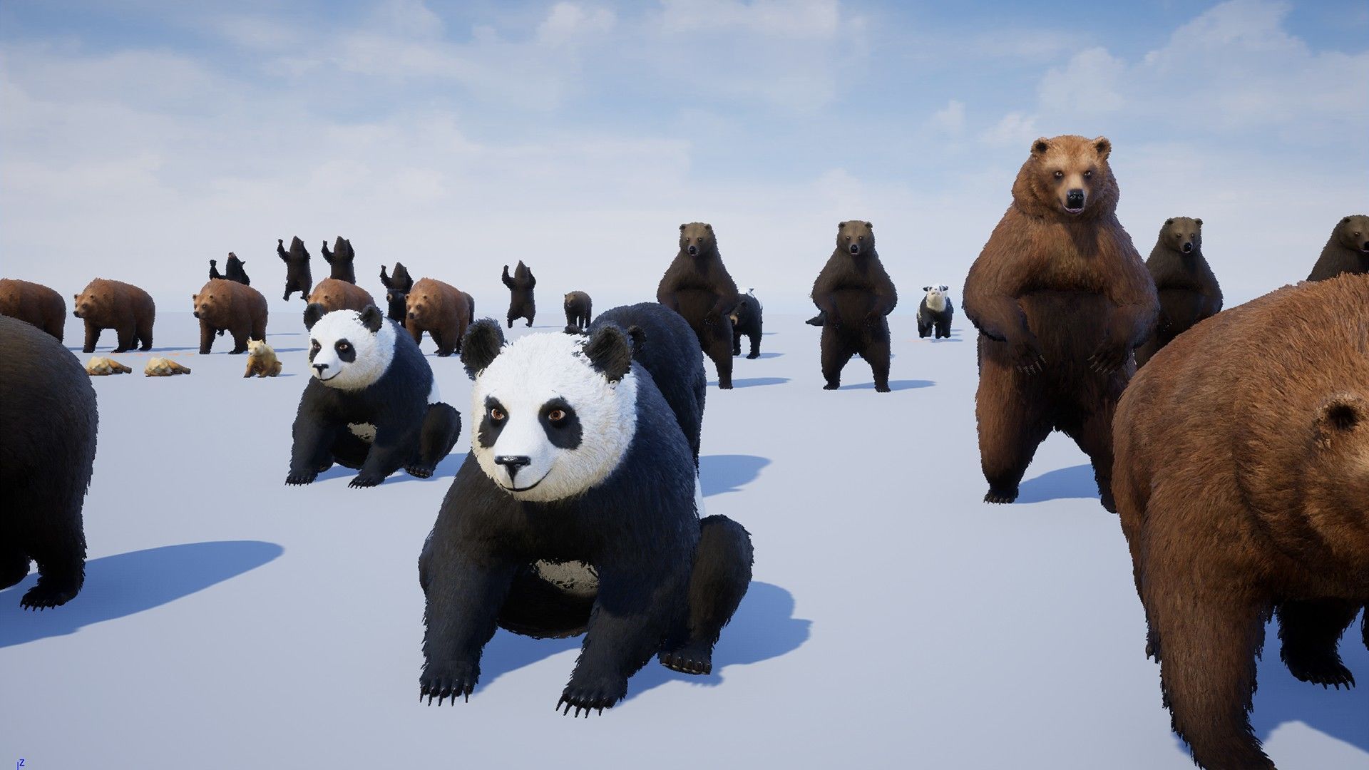 Realistic Bears Low-poly 3D model_18