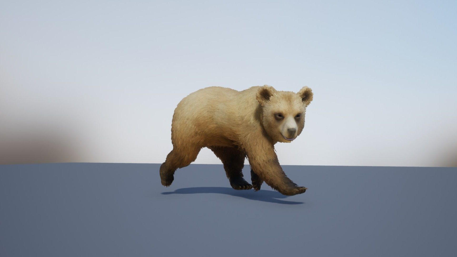 Realistic Bears Low-poly 3D model_10