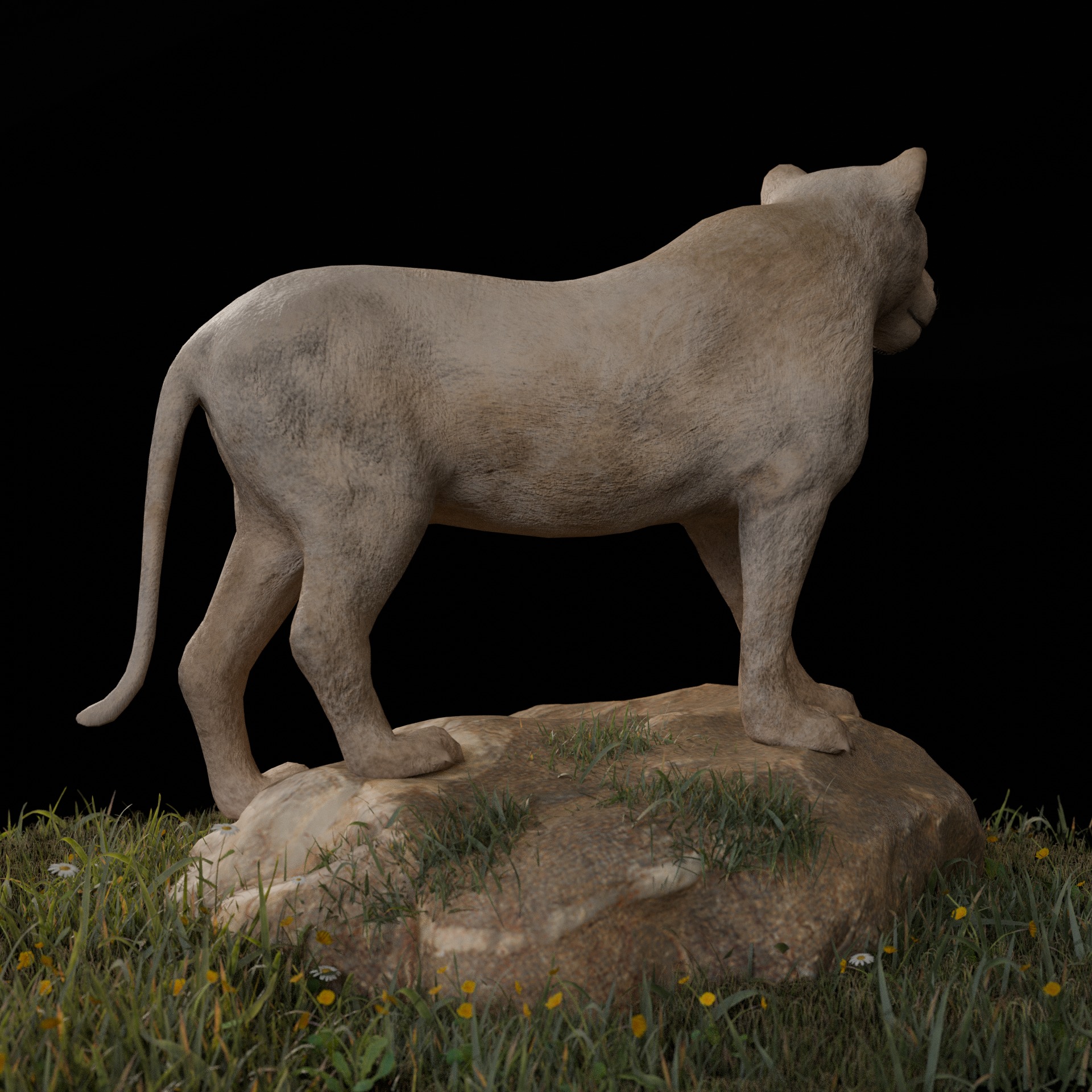 animal lion Low-poly 3D model_3